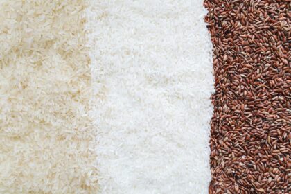 arroz